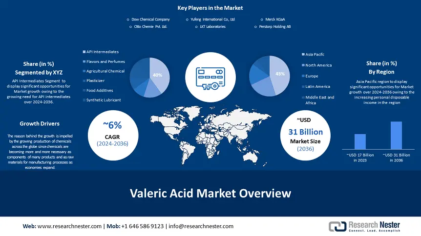 Valeric Acid Market